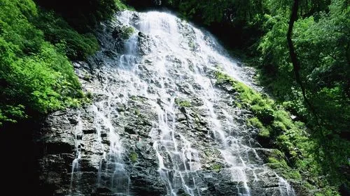 稳定性高性能科技